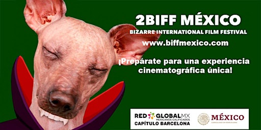 Imagen principal de El BIFF MÉXICO
