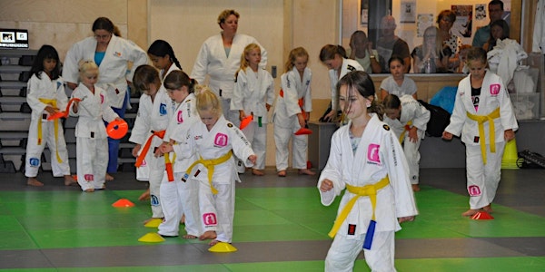 2de Dijkmansport GIRL-POWER clinic 24 november 2018