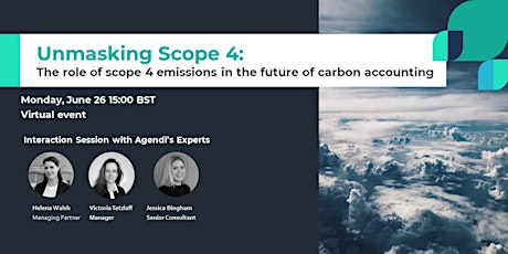 Unmasking Scope 4:  The role of scope 4 emissions
