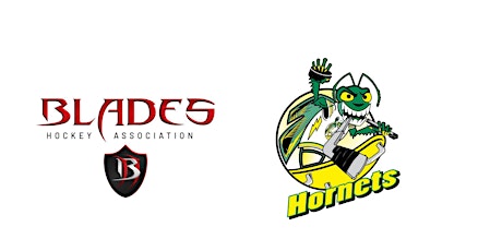 Blades Hockey Association Golf Outing benefiting Hornets Sled Hockey