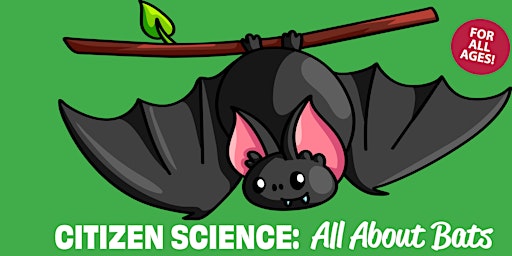 Citizen Science: All About Bats primary image