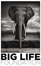 Nick Brandt and Town Hall Invite You to Attend Big Life Foundation's Presentation of the Elephants' Last Stand: Manning the Barricades in East Africa primary image