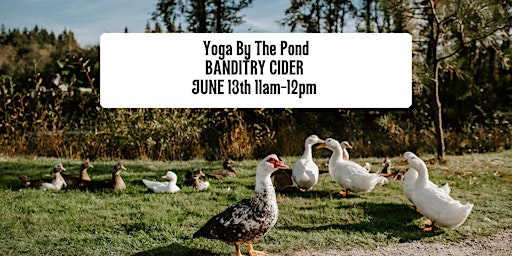 Banditry Cider Presents "Yoga by the Pond" primary image
