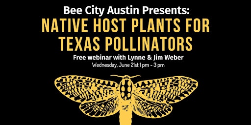 Native Host Plants for Texas Pollinators primary image