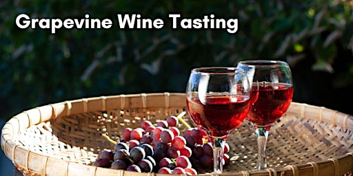 Grapevine Wine Tasting - July 2023 primary image