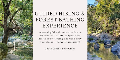 Mindful hiking and forest bathing experience - Cedar Creek to Love Creek primary image
