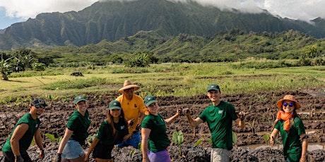 Kākoʻo ʻŌiwi Farm Volunteer Experience: Connect w/ the Land and Community