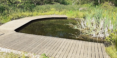 Blashford+Lakes%3A+Family+Pond+Dipping