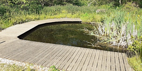 Blashford Lakes: Family Pond Dipping
