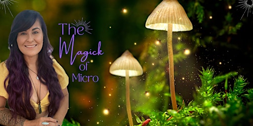 Imagem principal de The Magick of Micro