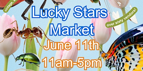 Lucky Stars Market