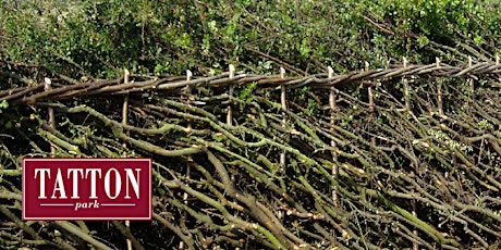 An Introduction to Hedgelaying at Tatton Park primary image