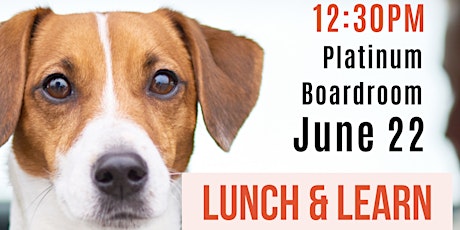 Lunch & Learn with The Humane Society of KW