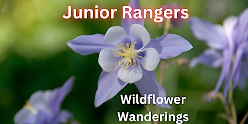 Eldorado Canyon State Park Junior Rangers: Wildflower Wanderings primary image