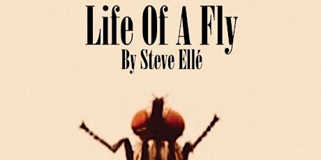 Life Of A Fly  primärbild