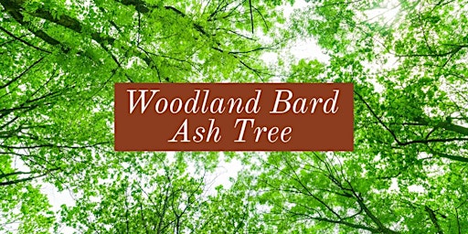 Imagem principal de Woodland Bard Online - Ash Tree, Sunday June 11th @ 6pm