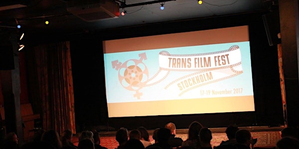 Friday Night Shorts at TFFS