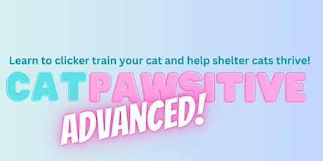 Behavior & Training Seminar Series: Cat Pawsitive Advanced Training
