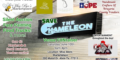 Save the Chameleon - Downtown District  Alvin Texas primary image
