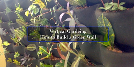 Building a small green wall at home primary image