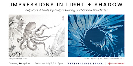 Opening Reception: Impressions in Light + Shadow