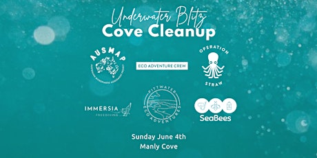 Cove Cleanup: Underwater Blitz primary image