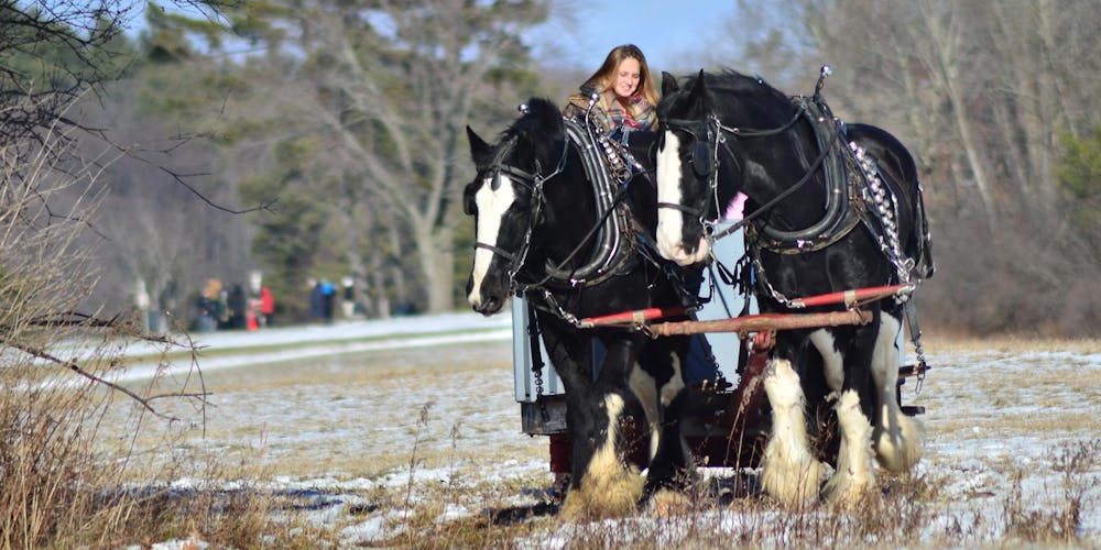 private horse drawn sleigh