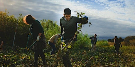 CANCELLED: Lynch Canyon/Newell Open Space Habitat Restoration - Ridge Trail Day Reschedule! primary image