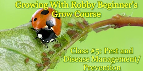 Growing With Robby! Beginners Grow Course. Class #5: Pest and Disease Control primary image