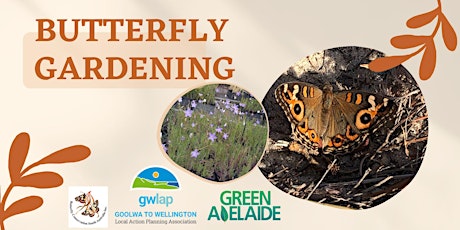 Primaire afbeelding van Butterfly Habitat Gardening