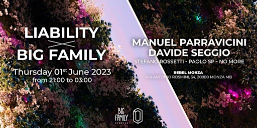 Immagine principale di 01/06 Liability X Big Family - Opening Party Rebel (Monza) 