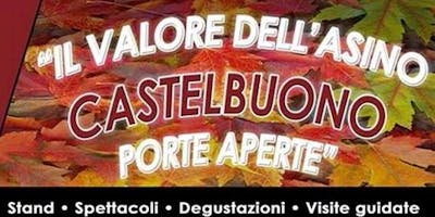 IL VALORE DELL’ ASINO – “CASTELBUONO PORTE APERTE” IL VALORE DELL’ ASINO – “CASTELBUONO PORTE APERTE”
