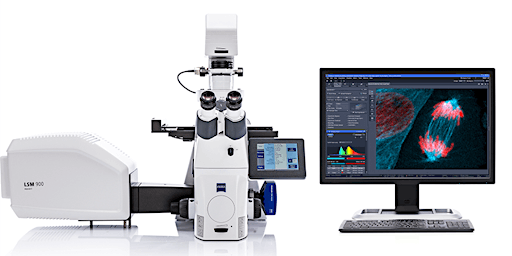 ZEISS laser scanning microscopy: LSM 900 Airyscan 2  primärbild