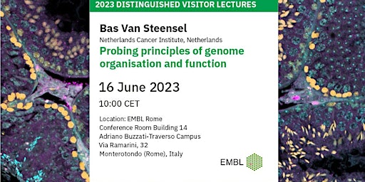 Immagine principale di 2023 Distinguished Visitor Lecture - Bas Van Steensel 
