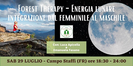 Immagine principale di Forest Therapy - Energia lunare: integrazione dal femminile al maschile 