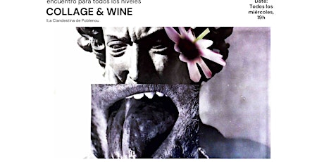 COLLAGE & WINE