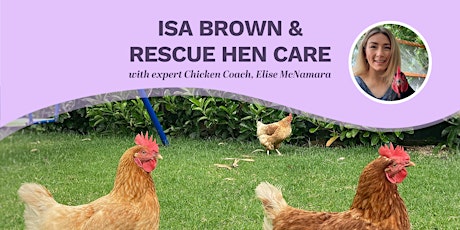 ISA Brown & Rescue Hen Care Online Masterclass primary image
