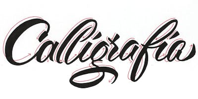Workshop Calligrafia con Barbara Calzolari (in collaborazione con Pentel Italia) Workshop Calligrafia con Barbara Calzolari (in collaborazione con Pentel Italia)