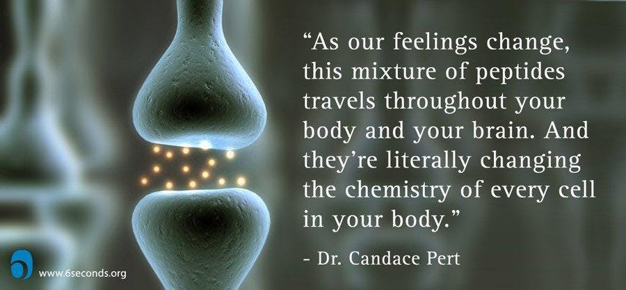 Molecules of Emotion –Skifta dina känslotillstånd med beröring och dofter