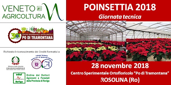 POINSETTIA 2018 - Giornata tecnica