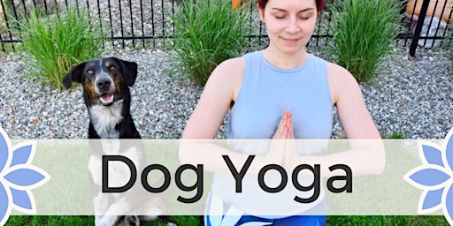 Dog Yoga | Do yoga with your dog at the park primary image