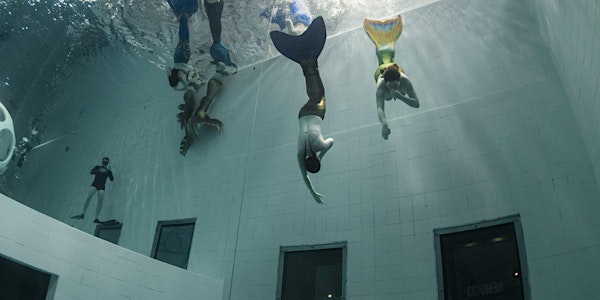 Mer-Made Nemo Deep Training