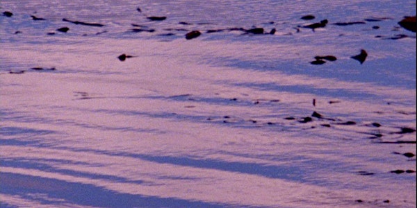 The Territorial Sea