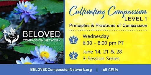 Cultivating Compassion Level 1: Principles & Practices of Compassion primary image