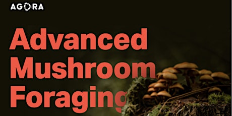 Advanced Mushroom Foraging with Rene Lombard  presented by Agora inc