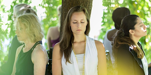 The Mindful Way