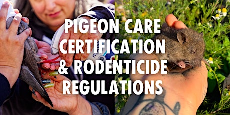 Pigeon Care Certification & Rodenticide Regulations