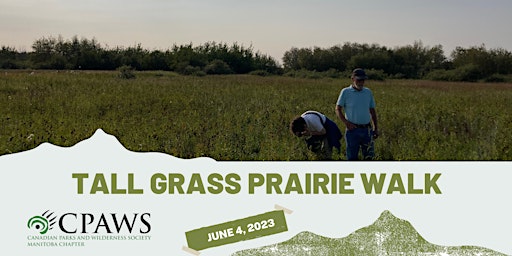 Remnant Prairie Grass Walk and Talk
