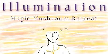 Illumination Mushroom Retreat