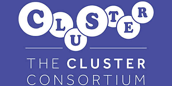 CLUSTER Launch